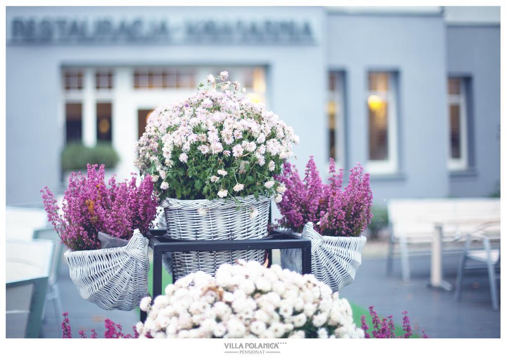 Villa Polanica Exteriör bild